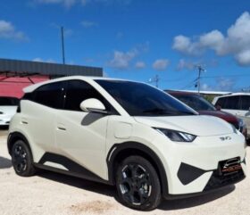 New 2025 BYD Seagull